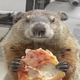 Image for article titled Animals, Now Doing Whatever the Fuck They Want (Pizza Groundhog Edition)